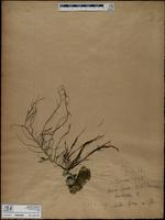 ISMAR0988