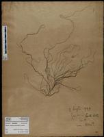 F17-02 Rio del Ponte Piccolo Page ISMAR0446