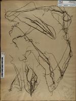 ISMAR1028
