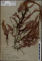 ISMAR1063