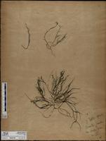 ISMAR1066