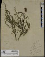 ISMAR1069