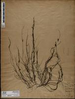 ISMAR1073