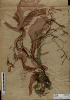 ISMAR1076