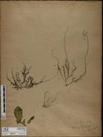 ISMAR1107