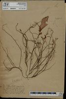 ISMAR0919