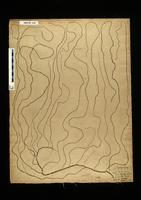 Gracilaria confervoides - ISMAR0158