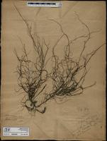 ISMAR0888