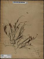 ISMAR0943