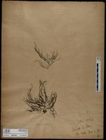 ISMAR0959
