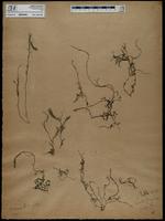 ISMAR0960