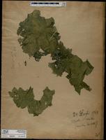 ISMAR0977